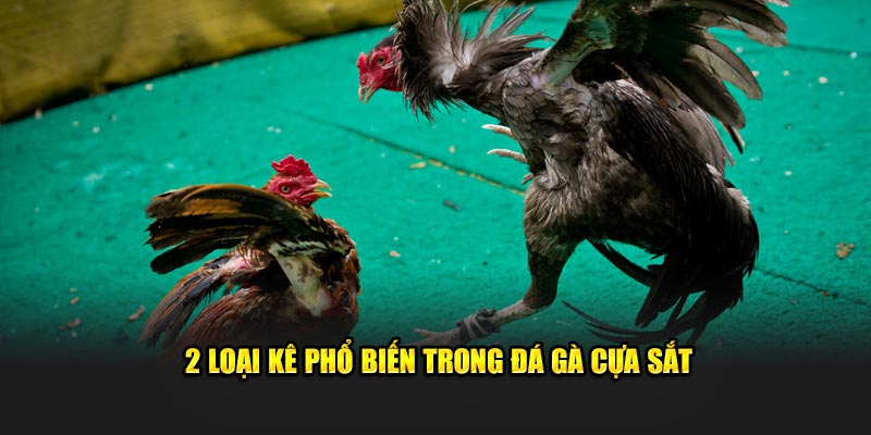 Vài loại kê phổ biến trong đá gà cựa sắt
